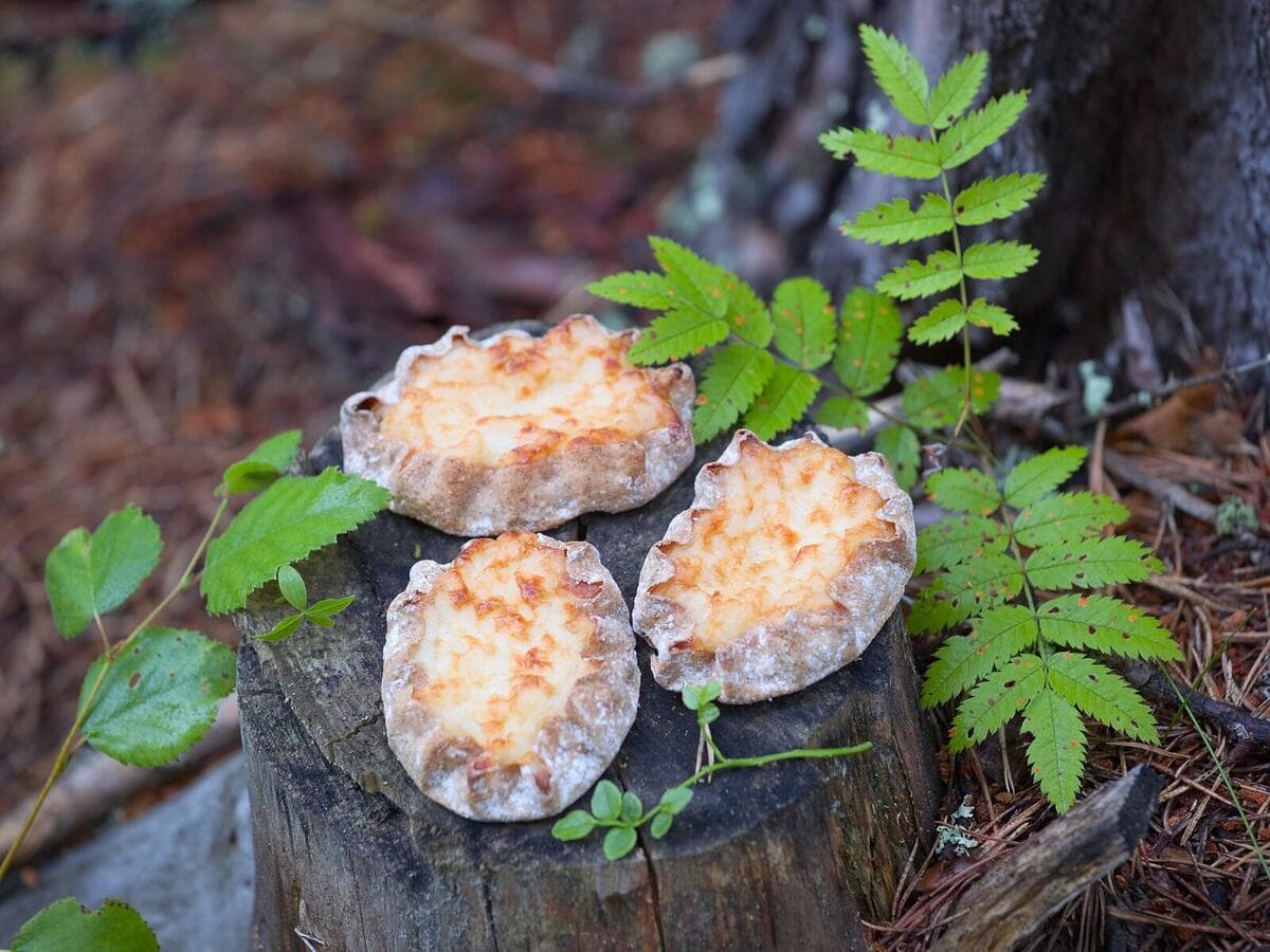 Karelische Piroggen auf einem Baumstumpf im finnischen Wald, Kurs Hei! Suomi